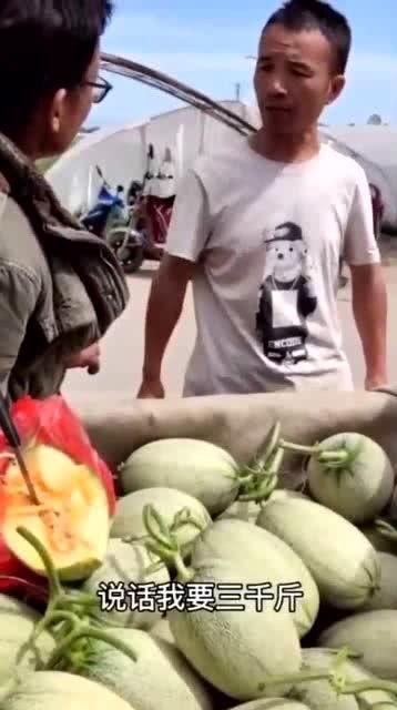 吃瓜大佬cd,一场娱乐圈的狂欢盛宴