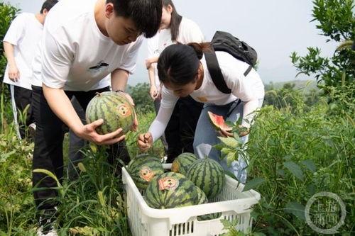 重庆各大高校吃瓜群,校园八卦热传背后的故事