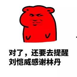 职业吃瓜群众33,揭秘网络红人的幕后生活