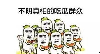 钱排吃瓜群众,揭秘娱乐圈幕后风云