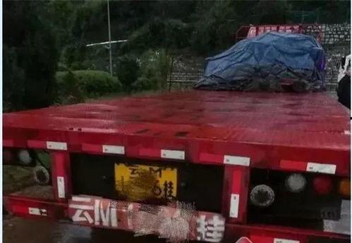 交警处理吃瓜事件,交警巧妙化解吃瓜群众围观事件