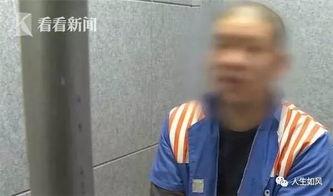 交警处理吃瓜事件,交警巧妙化解吃瓜群众围观事件