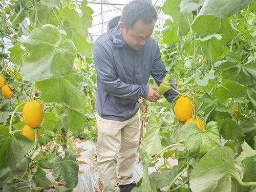 桂林吃瓜人,品味瓜果人生，尽享山水田园