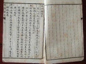 带你吃瓜古文翻译,带你领略古代“瓜圈”文化  第2张