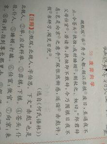 带你吃瓜古文翻译,带你领略古代“瓜圈”文化  第3张