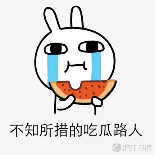 吃瓜费加入,网络热议背后的真相与反思  第1张