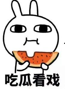 吃瓜的熊猫人,揭秘萌宠的欢乐日常