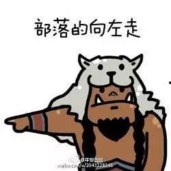 吃瓜的熊猫人,揭秘萌宠的欢乐日常