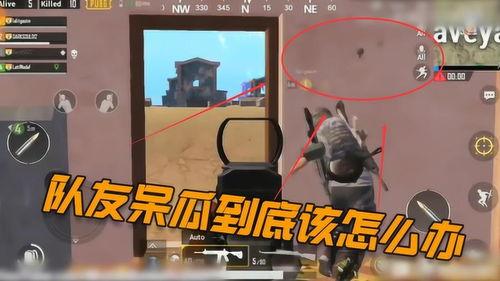 吃鸡小队呆瓜,吃鸡战场上的欢乐逗比之旅  第3张