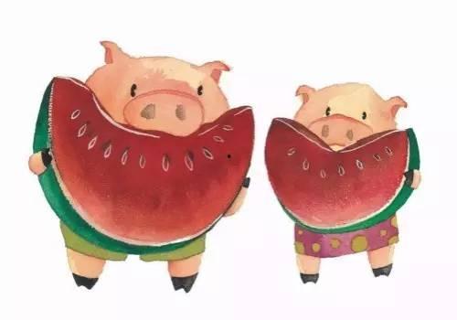 伊丽莎白猪吃瓜 第1张 伊丽莎白猪吃瓜 第1张