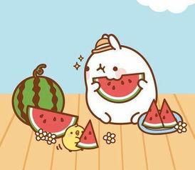 吃瓜教你怎么写,吃瓜群众教你轻松掌握撰写热点文章的秘诀