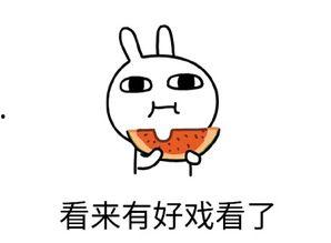 吃瓜不想走,不想离场! 第1张 吃瓜不想走,不想离场! 第1张