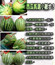 吃西瓜只会老吃瓜吗图片,不止老吃瓜，创意吃法大揭秘