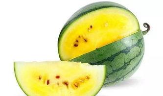 什么瓜可以吃最好,揭秘最佳食用瓜类选择