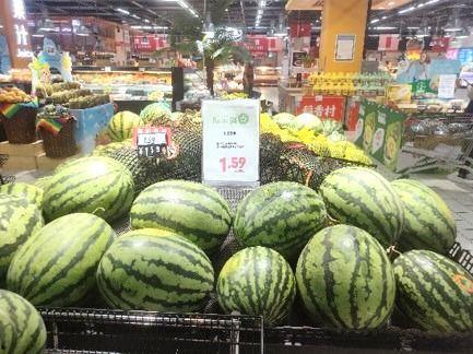 惠农吃瓜节活动,瓜香四溢——共赴惠农吃瓜节欢乐之旅”