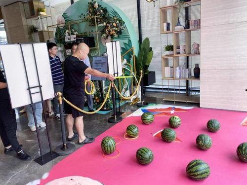 惠农吃瓜节活动,瓜香四溢——共赴惠农吃瓜节欢乐之旅”