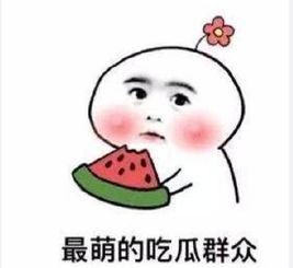 别人骗你吃瓜文案,警惕网络陷阱,守护你的信息安全 第3张 别人骗你吃瓜文案,警惕网络陷阱,守护你的信息安全 第3张