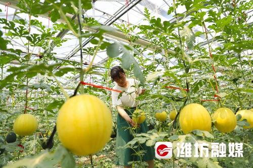 整治吃瓜,共建清朗网络空间