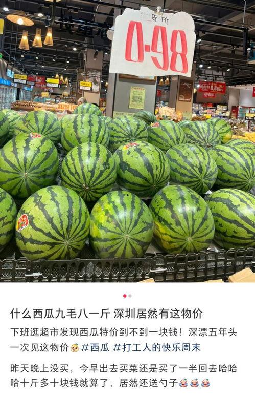 吃瓜视频大全图片,揭秘娱乐圈幕后故事  第2张