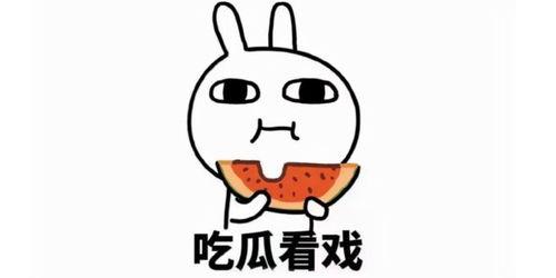 吃瓜团队照片文案搞笑