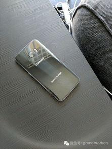 照相机吃瓜,照相机捕捉的瓜田盛景