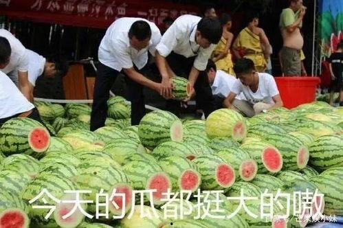 吃瓜日志,揭秘娱乐圈幕后故事  第1张