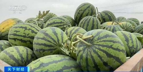 隆丰吃瓜,揭秘娱乐圈幕后故事