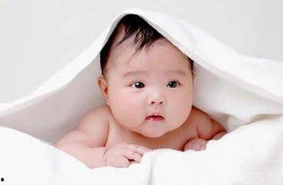 吃瓜的亮宝宝,揭秘娱乐圈那些事儿