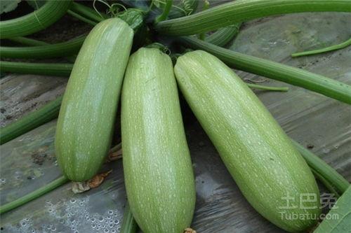 川音413吃瓜,一场校园吃瓜盛宴背后的真相揭秘