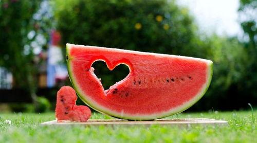 幸福吃瓜,揭秘美食背后的幸福密码