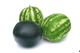 偃师市吃瓜事件,一场引发社会热议的网络风波