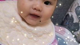 夫妻吃婆婆的瓜,夫妻吃婆婆的瓜，揭秘家庭和谐之道