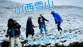 吃瓜雪山,揭秘神秘雪域的瓜果传奇