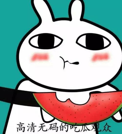 吃瓜的爱豆,揭秘吃瓜群众的偶像养成记