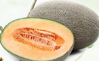哈密瓜怎么切个吃,轻松享受夏日清新美味