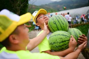 大型吃瓜现场在线吃瓜