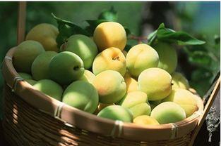 青梅妈妈吃瓜,揭秘娱乐圈那些不为人知的幕后故事