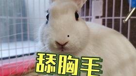 女海王养成吃瓜