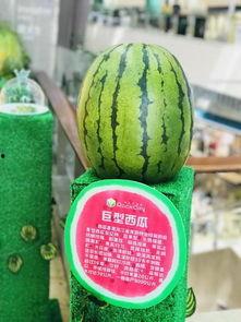 千城小区吃瓜,吃瓜群众见证的社区风云录