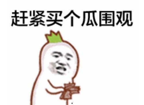 吃瓜群众吃肉视频,一场别开生面的吃肉视频盛宴