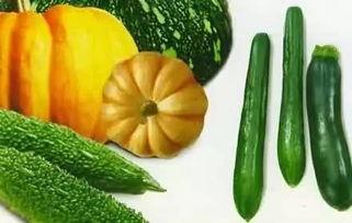 越南瓜几月吃瓜,夏季瓜果飘香，尽享清凉美味