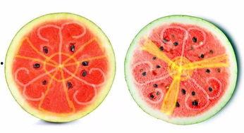 儿童吃蜜瓜呕吐,揭秘食品安全与儿童健康之谜