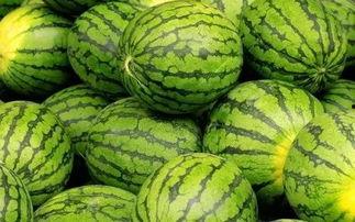 摔西瓜吃瓜,共享夏日清凉时光