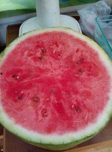 重庆医院吃瓜,一场吃瓜群众的围观盛宴  第2张