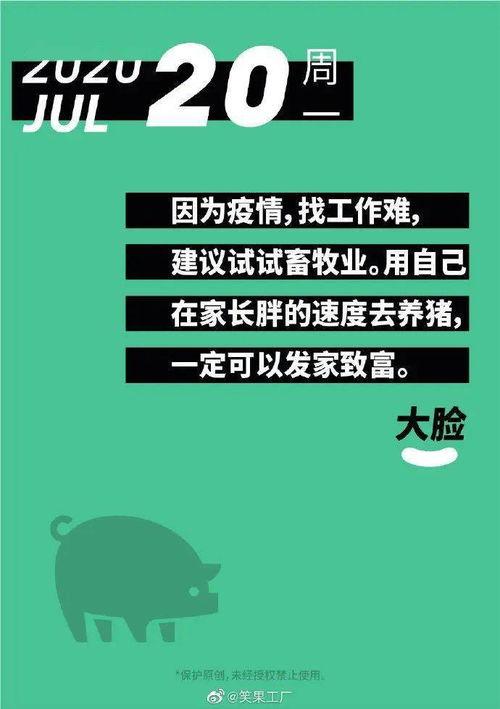 吃瓜团队照片文案,揭秘幕后故事  第3张
