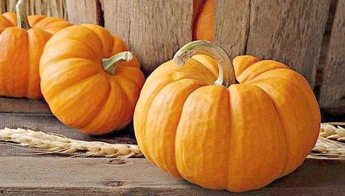 瓜塌配什么吃  第2张